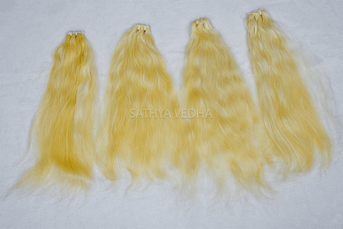 Sathya Vedha Enterprises