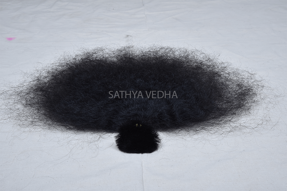 Sathya Vedha Enterprises