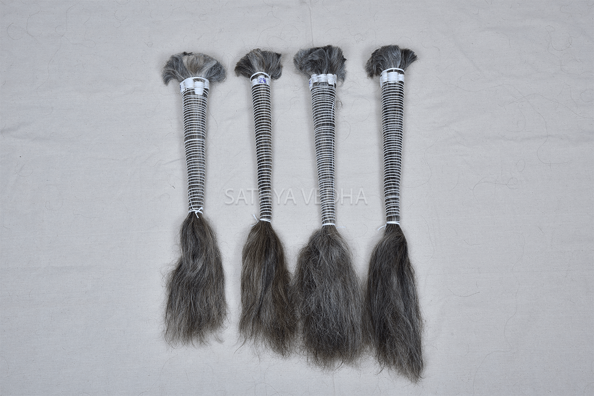 Sathya Vedha Enterprises