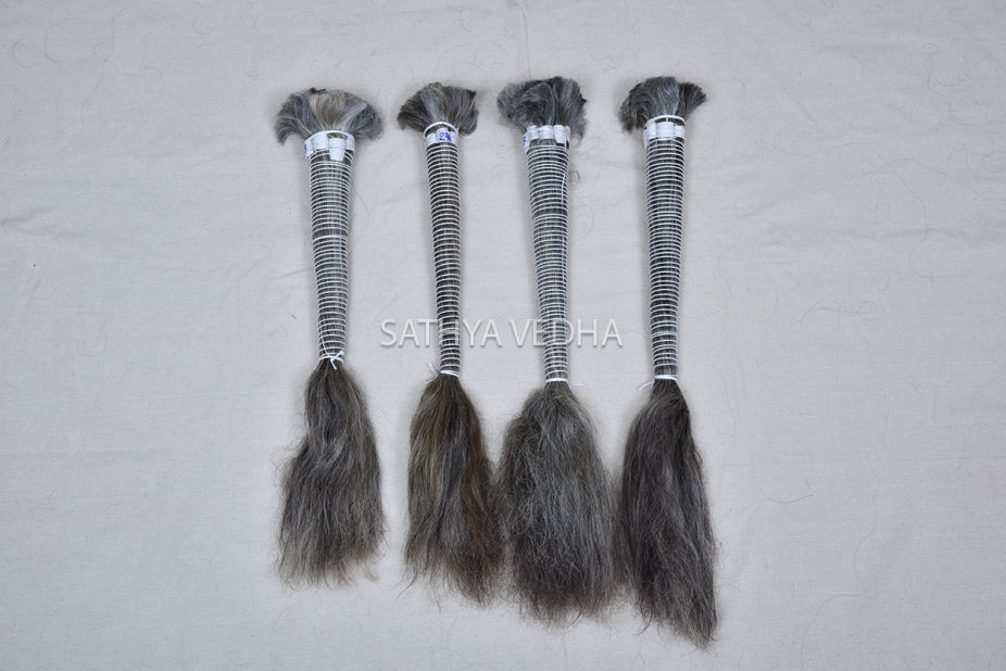 Sathya Vedha Enterprises